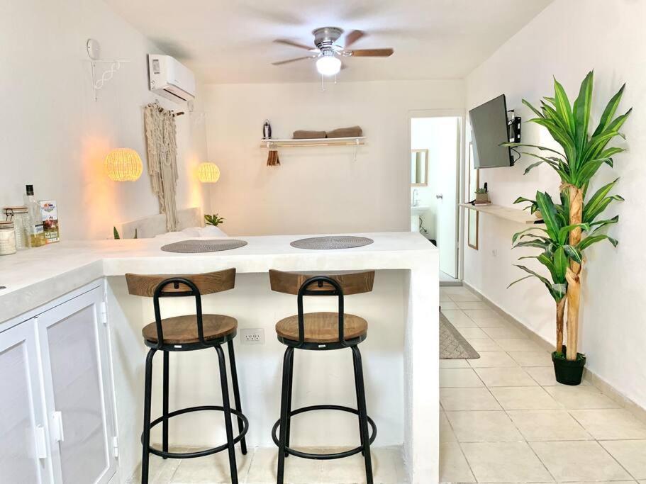 Casa Anuiti Centrica Ubicacion. Apartment San Jose del Cabo Ngoại thất bức ảnh