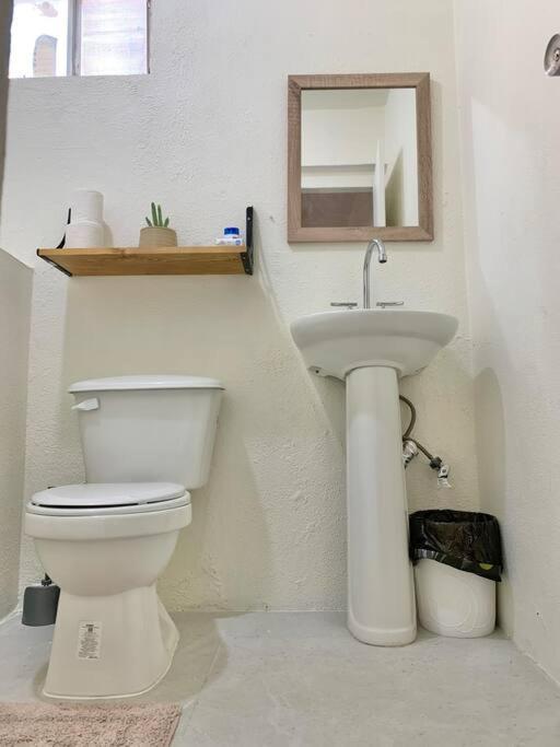 Casa Anuiti Centrica Ubicacion. Apartment San Jose del Cabo Ngoại thất bức ảnh