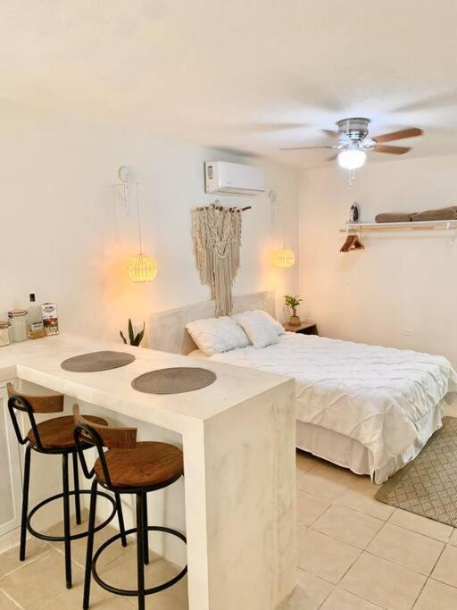 Casa Anuiti Centrica Ubicacion. Apartment San Jose del Cabo Ngoại thất bức ảnh
