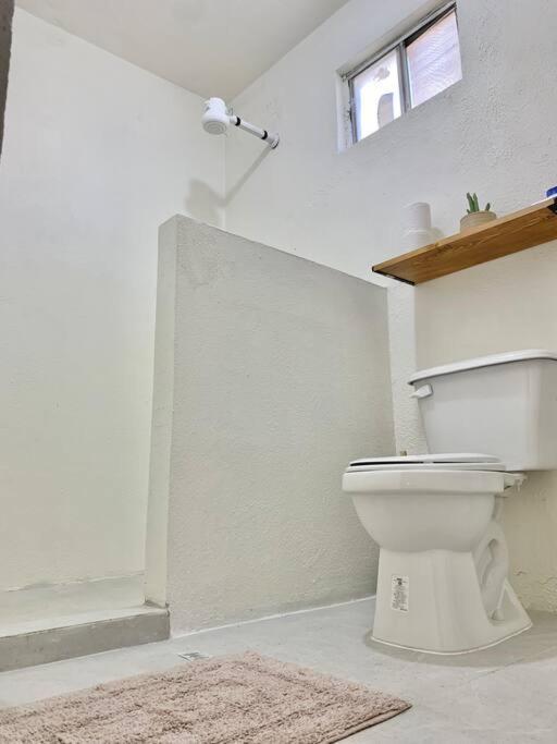 Casa Anuiti Centrica Ubicacion. Apartment San Jose del Cabo Ngoại thất bức ảnh