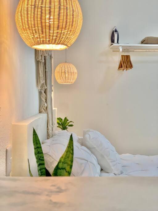 Casa Anuiti Centrica Ubicacion. Apartment San Jose del Cabo Ngoại thất bức ảnh