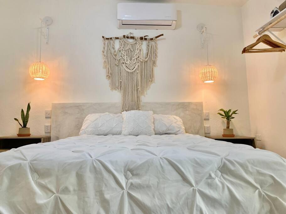 Casa Anuiti Centrica Ubicacion. Apartment San Jose del Cabo Ngoại thất bức ảnh
