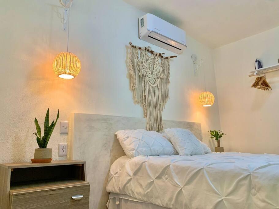Casa Anuiti Centrica Ubicacion. Apartment San Jose del Cabo Ngoại thất bức ảnh