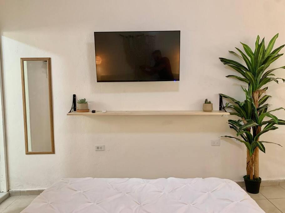 Casa Anuiti Centrica Ubicacion. Apartment San Jose del Cabo Ngoại thất bức ảnh